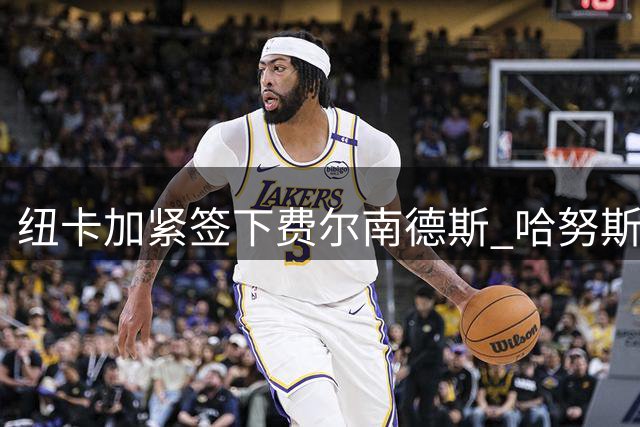 纽卡加紧签下费尔南德斯 哈努斯成锋线备选方案